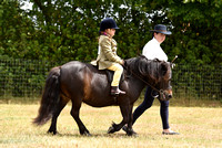 Class 18 - Ridden Pure Bred Native - Small Breeds