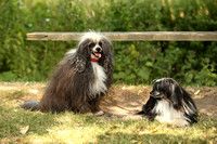 Ellery, Evie, Esther Needham Lakes