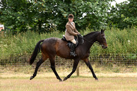 Class 26 - Ridden ThoroughbredracehorseRoR